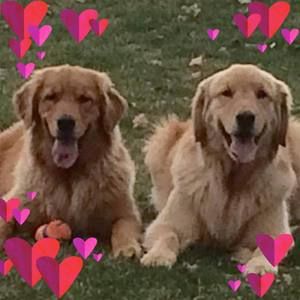 Meet your Posher, Randy